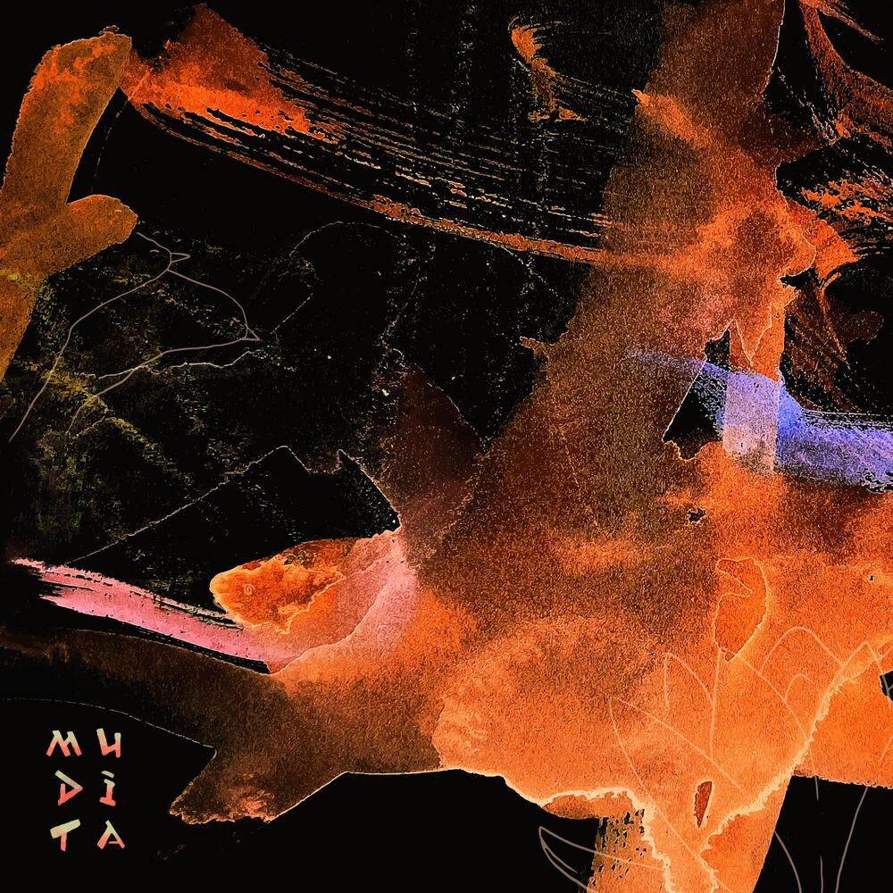 Picture of Savaş Uçurtmaları (War Kites) (feat. Tülay Bayram)