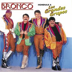 Cover of Homenaje A Los Grandes Grupos