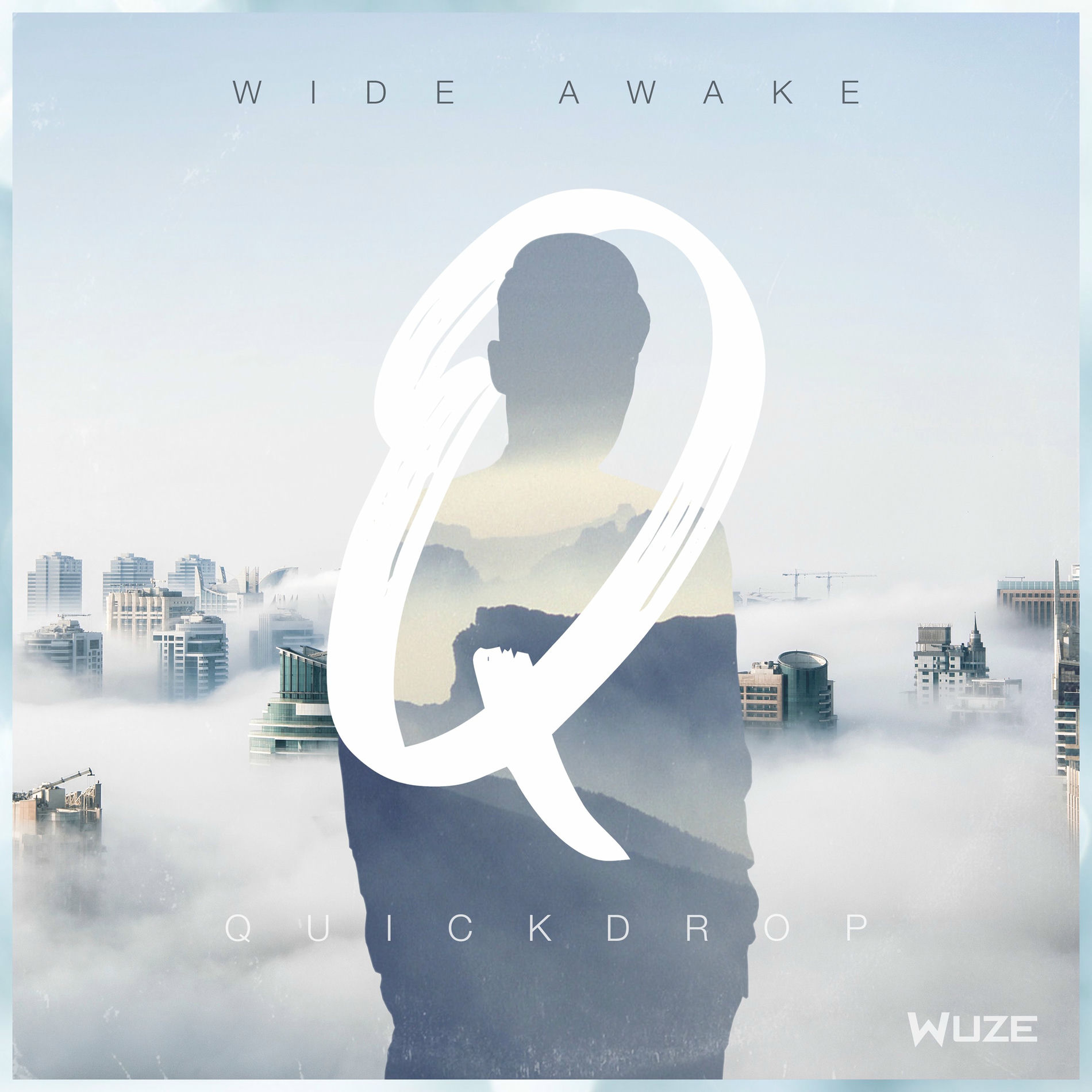 Album cover of Wide Awake