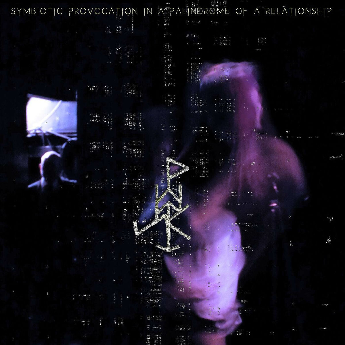 Album cover of Symbiotic Provocation in a Palindrome of a Relationship