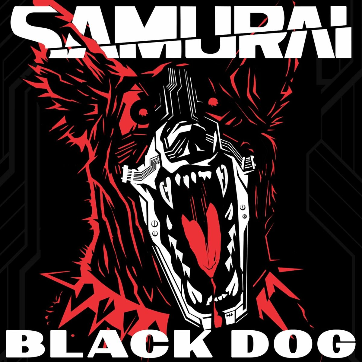 Album cover of Black Dog