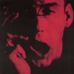 Cover of Pain
