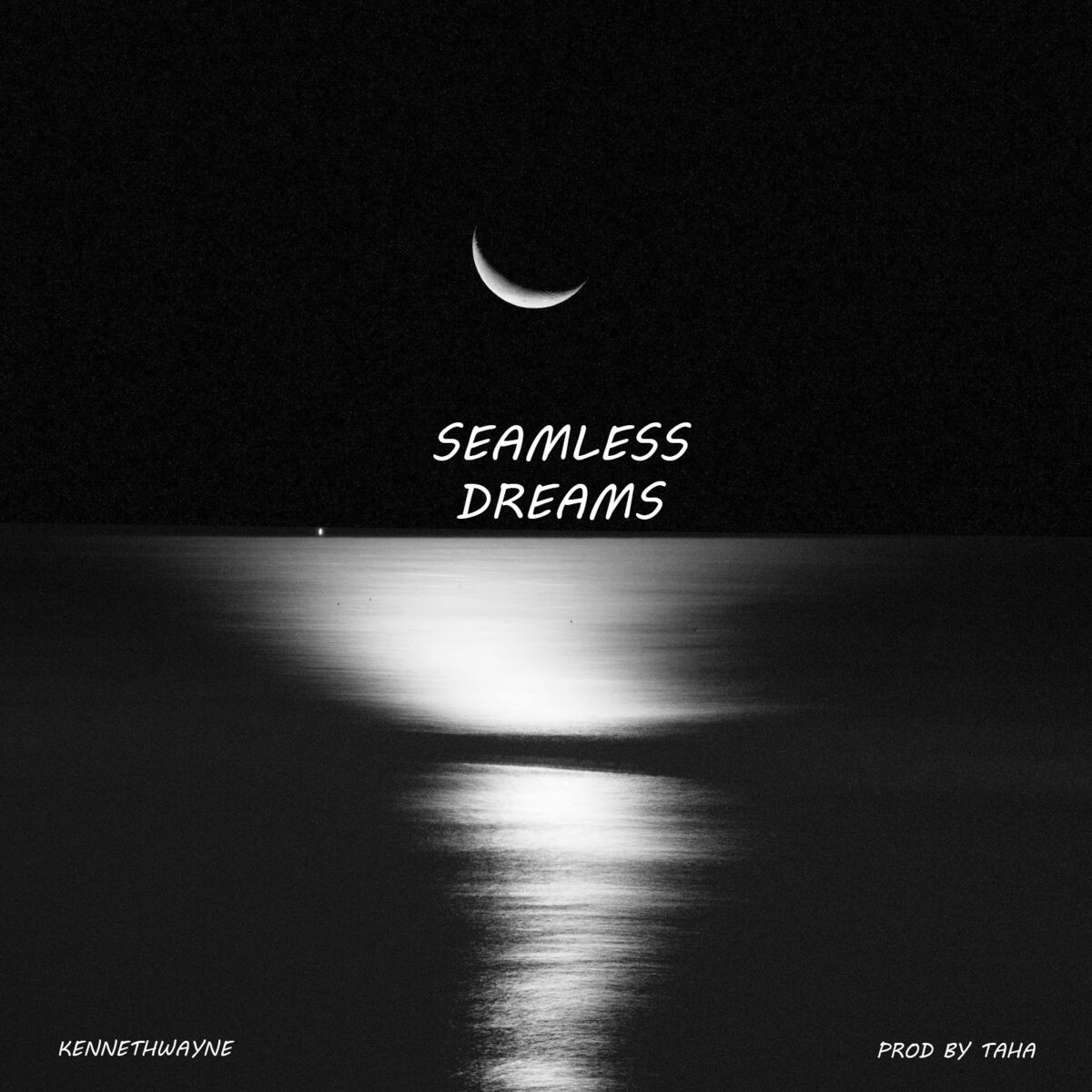 Album cover of Seamless Dreams