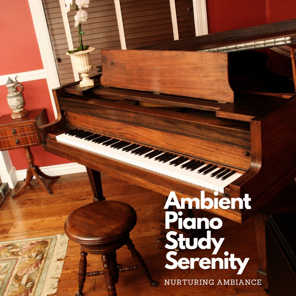 Picture of Ambient Piano Study Serenity: Nurturing Ambiance