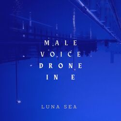 Male Voice Drone in E