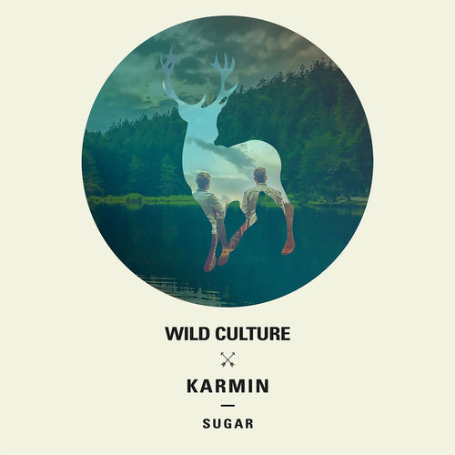 Sugar artwork