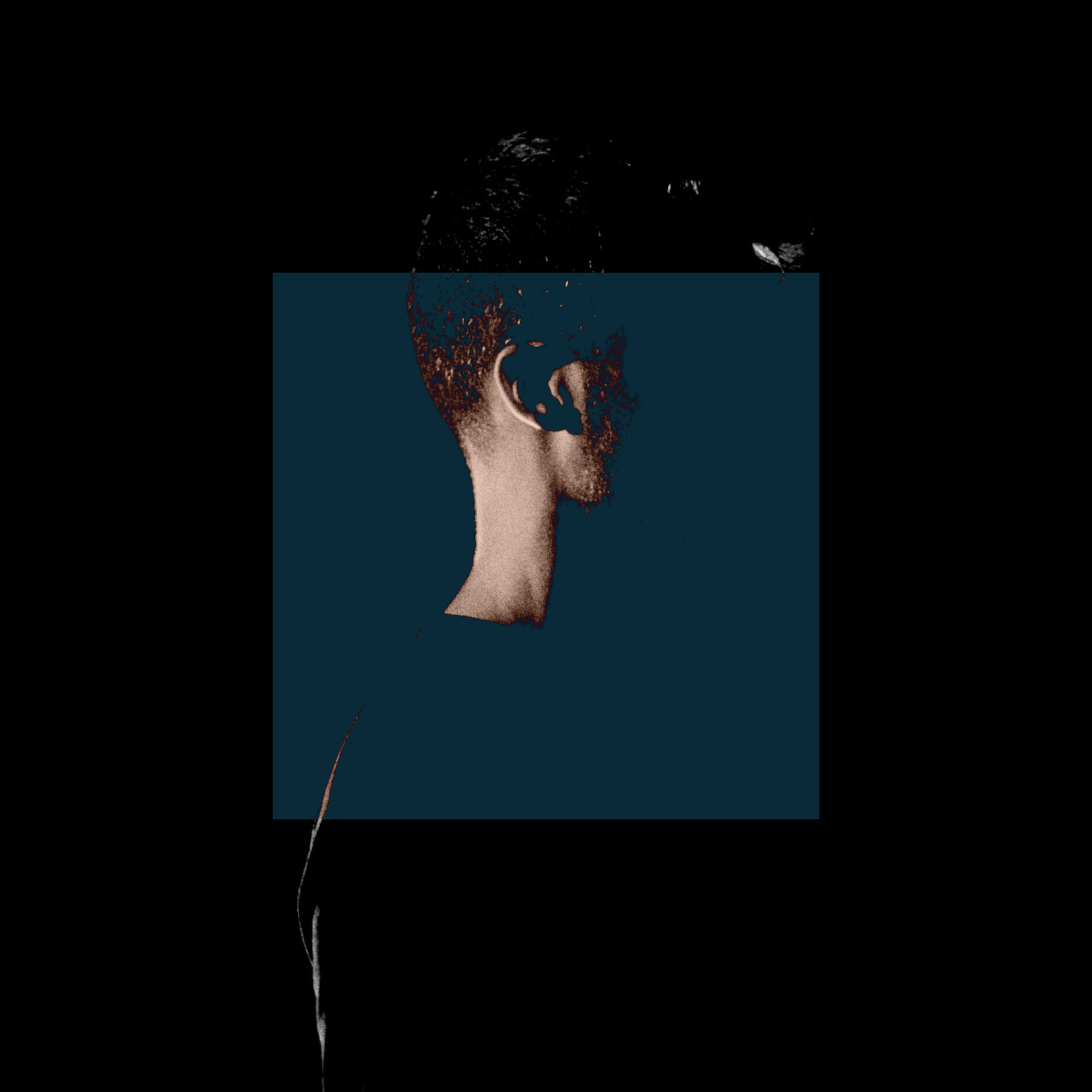 Album cover of It's Fine, But It Hurts