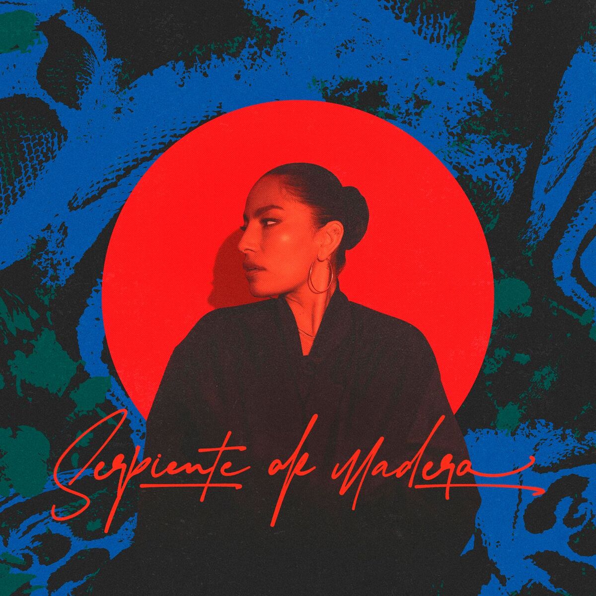 Album cover of SERPIENTE DE MADERA