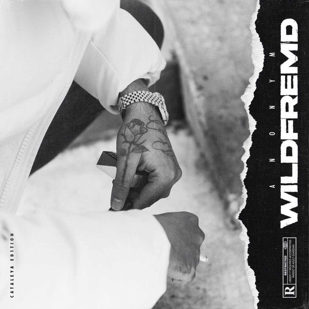 Album cover of Wildfremd