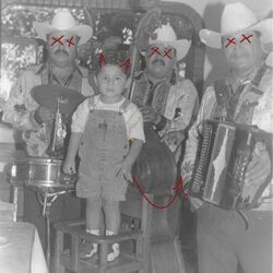 Cover of Torito