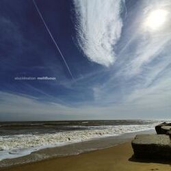 Cover of Mellifluous