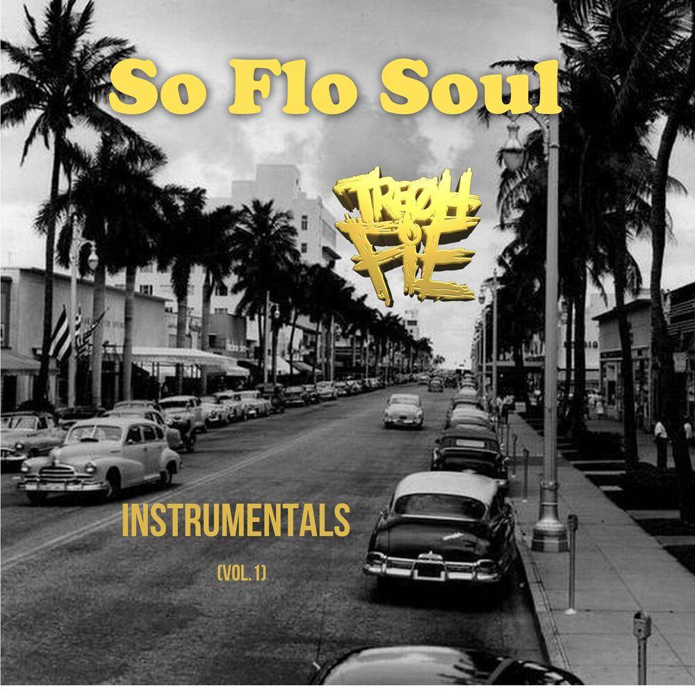 Picture of So Flo Soul Instrumentals (Vol.1)