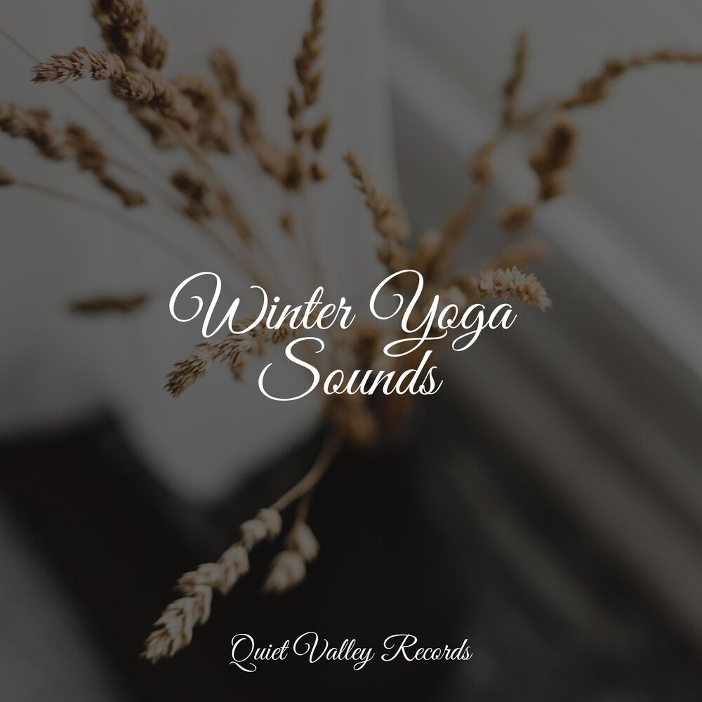 Picture of Winter Yoga Sounds