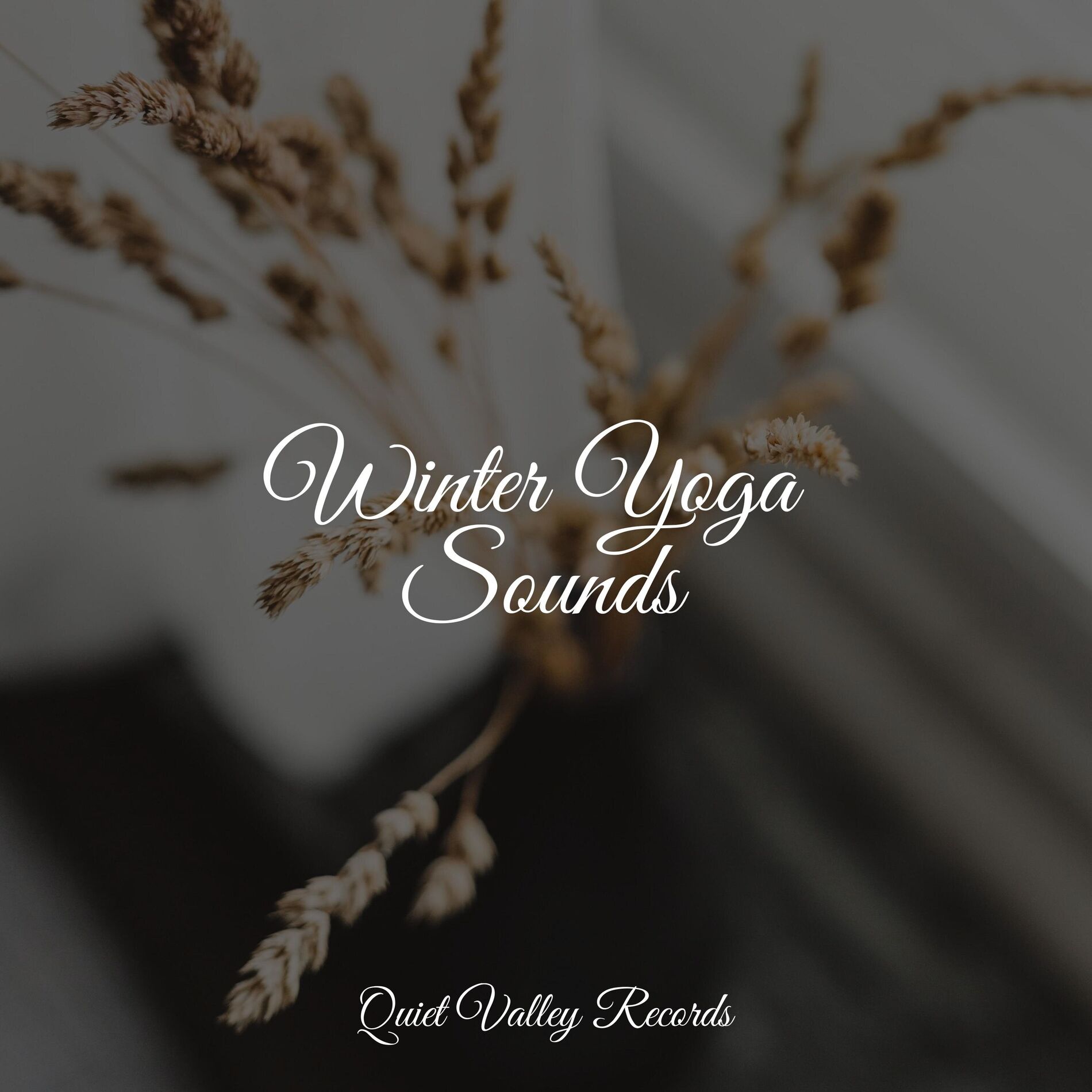 Album cover of Winter Yoga Sounds