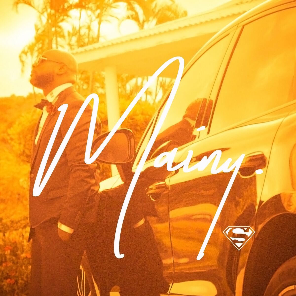 Album cover of Superman
