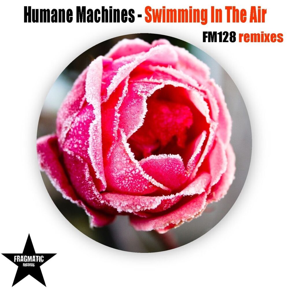 Picture of Swimming in the Air