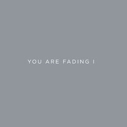 Cover of You Are Fading, Vol. 1 (Bonus Tracks 2005 - 2010)