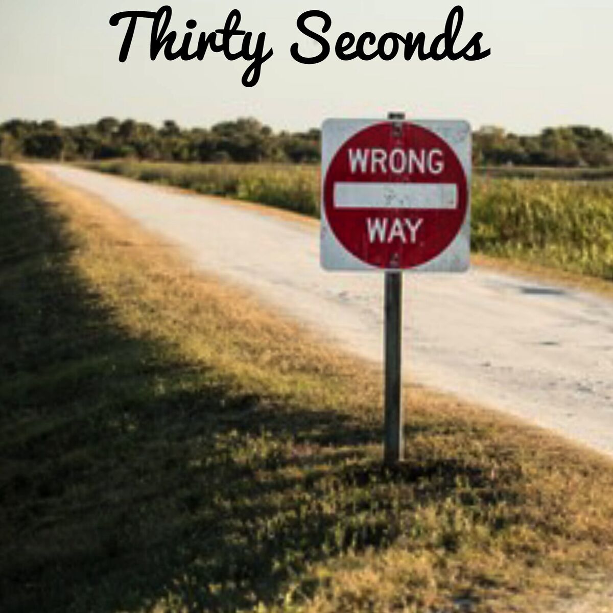Album cover of Wrong Way