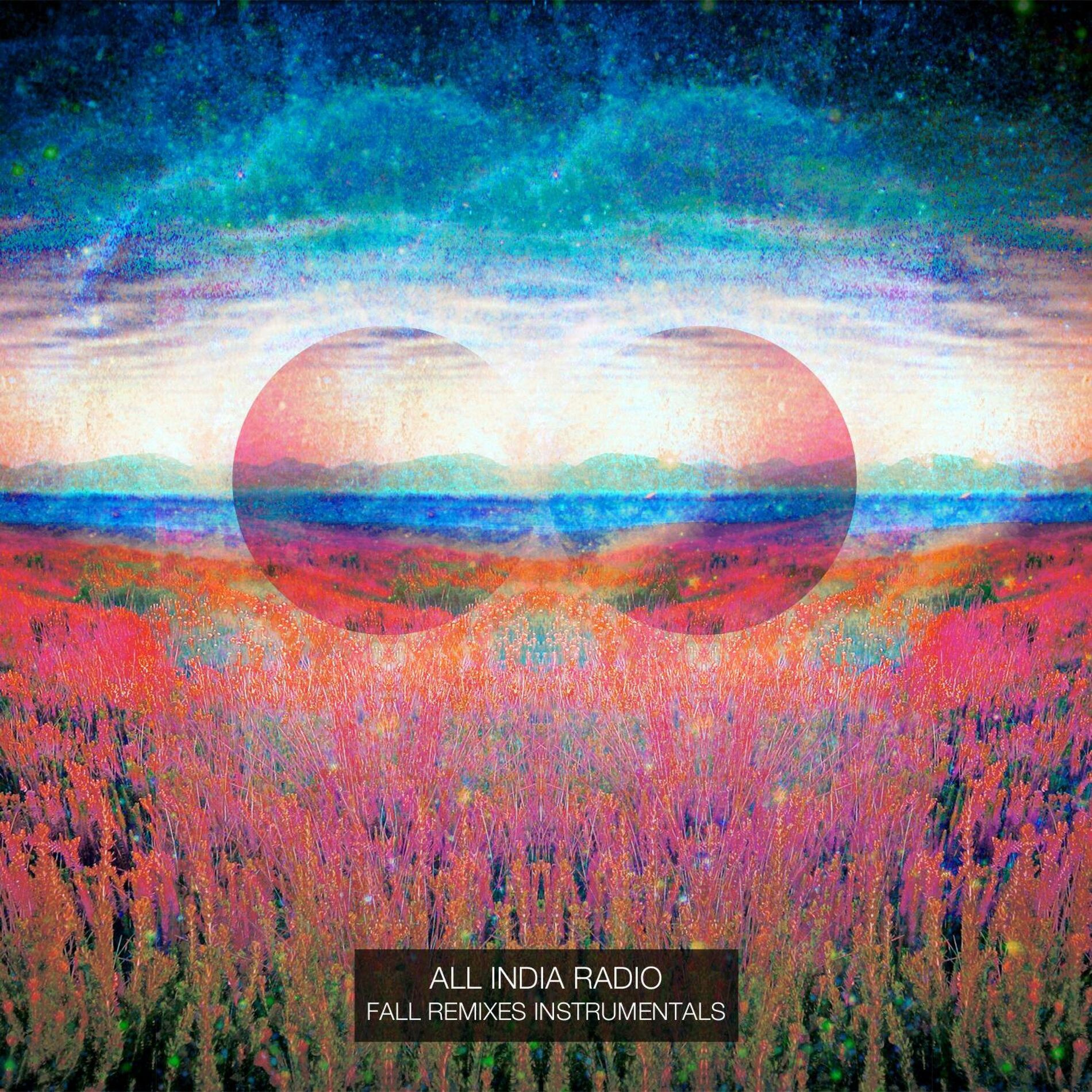 Album cover of Fall Remixes Instrumentals