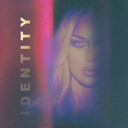 Cover of IDENTITY