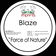 Force of Nature (Roots Vocal Mix) by Blaze album cover