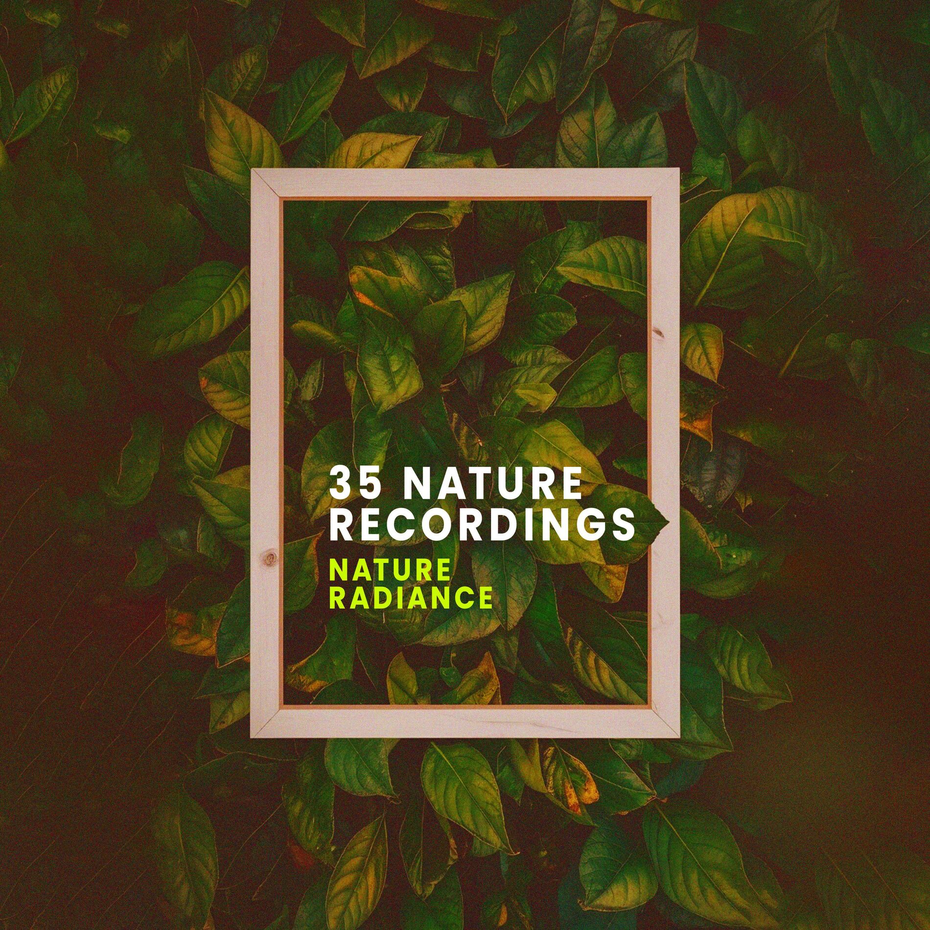 Album cover of 35 Nature Recordings