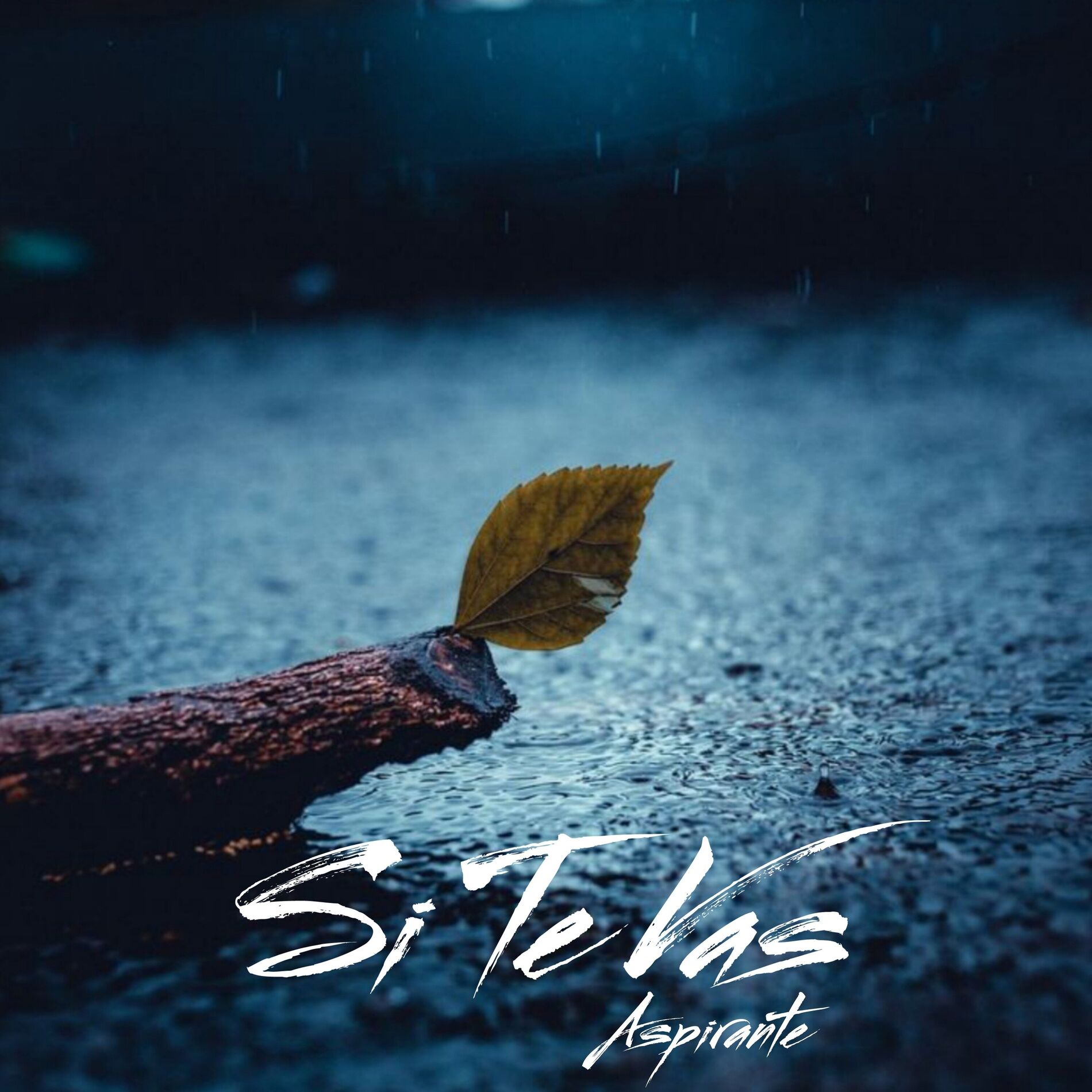 Album cover of Si Te Vas (Version Reggaeton)