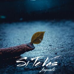 Cover of Si Te Vas (Version Reggaeton)