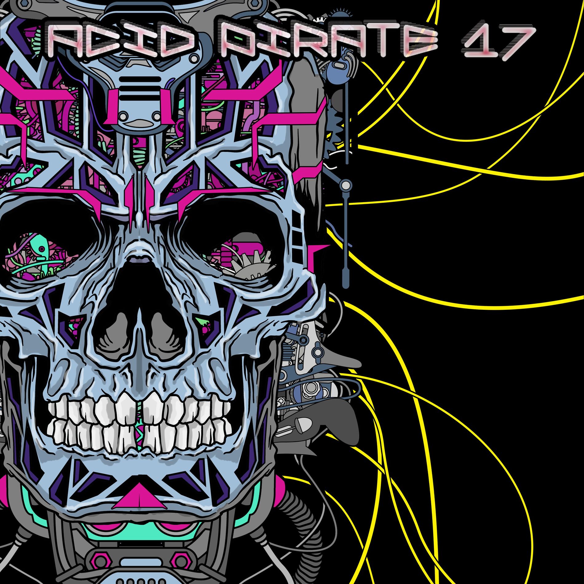 Album cover of Acid Pirate 17