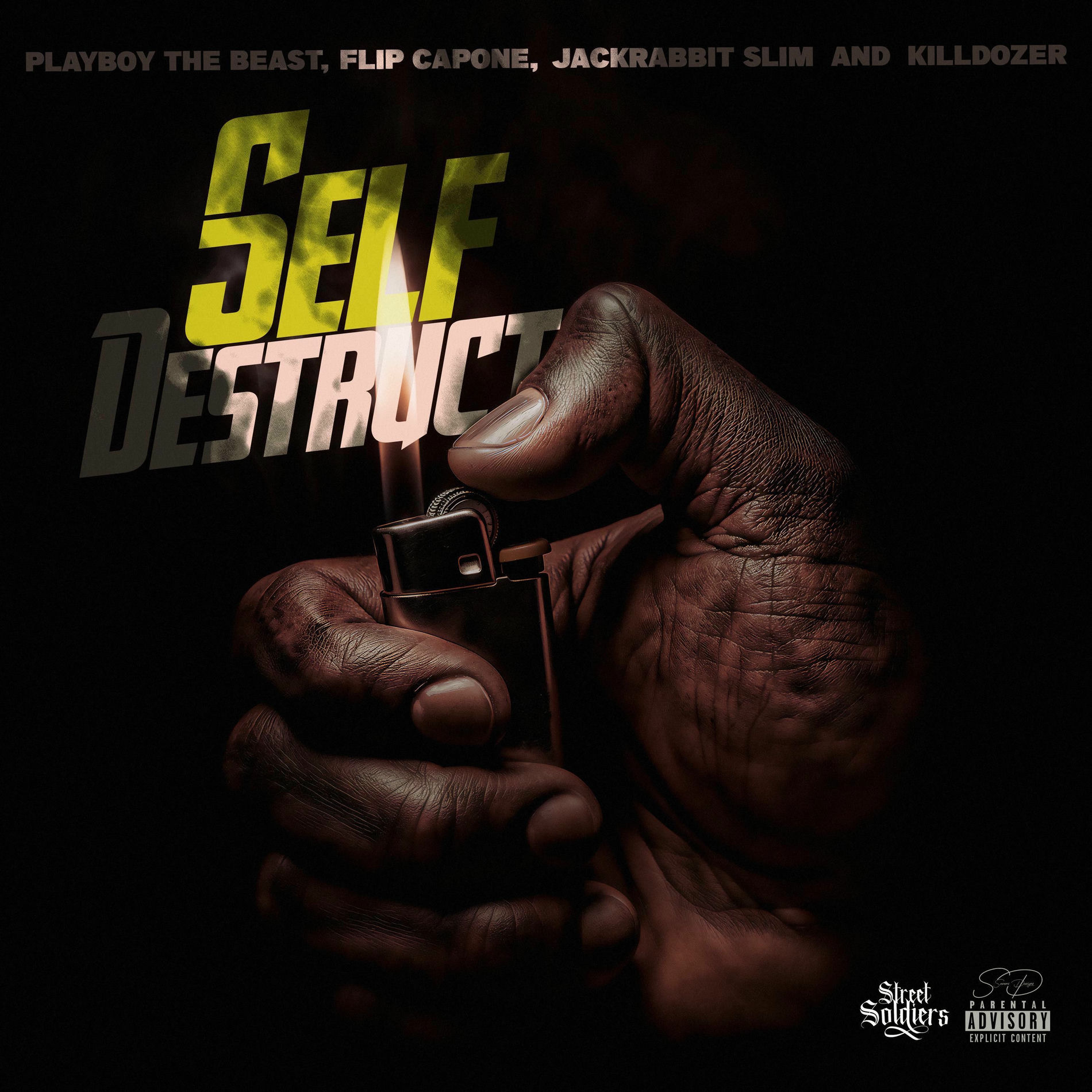 Album cover of Self Destruct