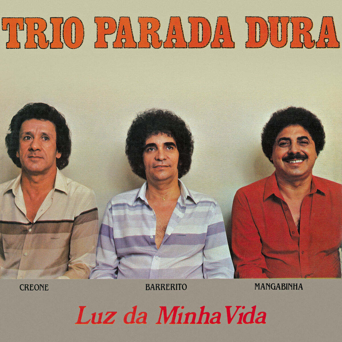 Album cover of Luz Da Minha Vida