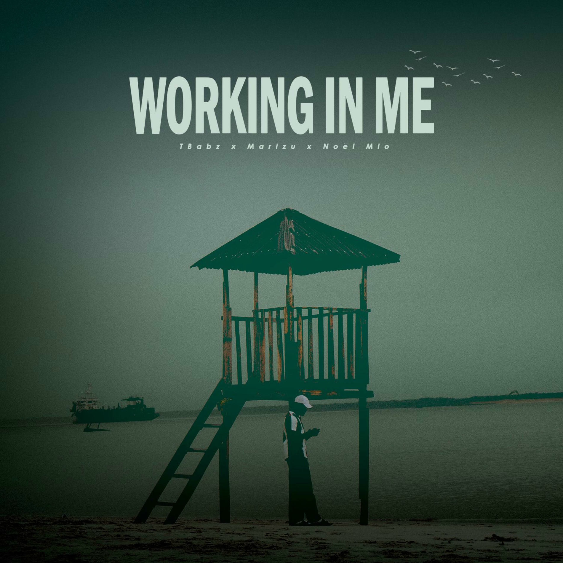 Album cover of Working In Me
