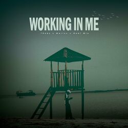 Cover of Working In Me