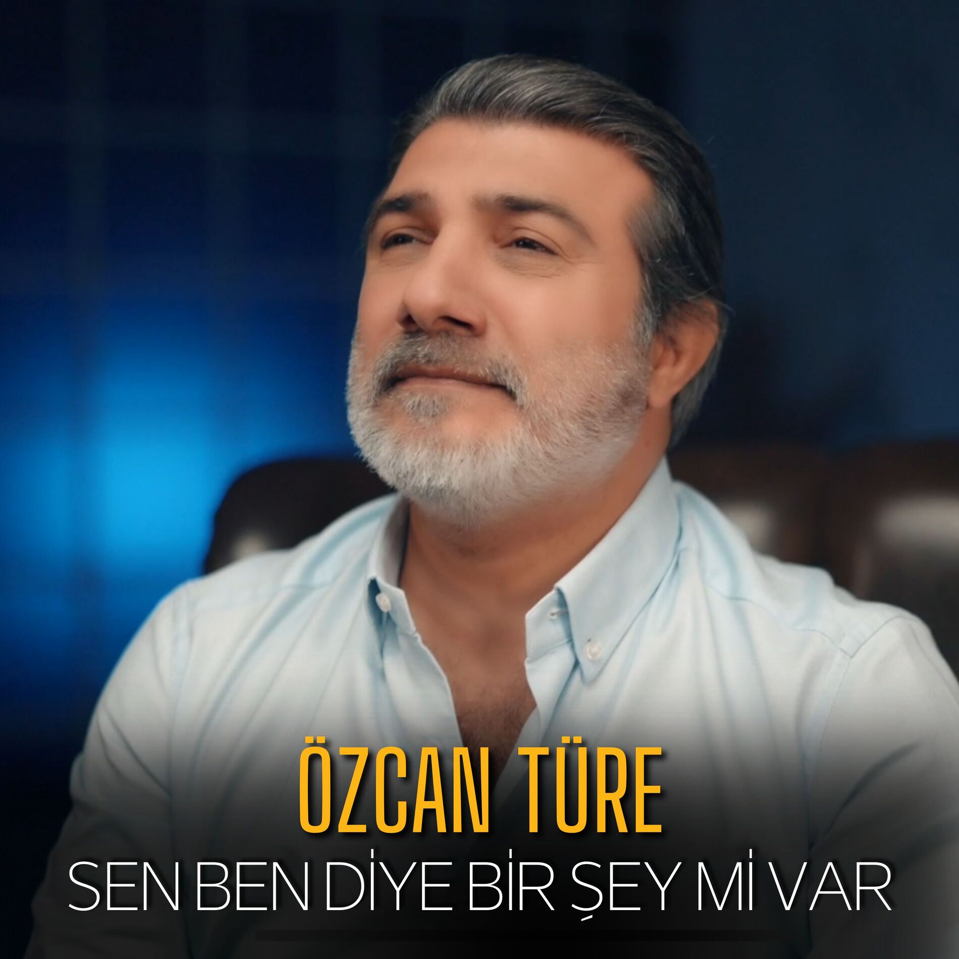 Album cover of Sen Ben Diye Bir Şey mi Var