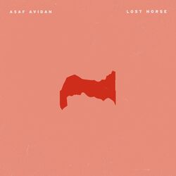 Cover of Lost Horse