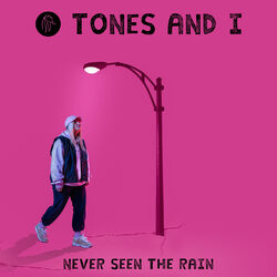 Cover of Never Seen The Rain