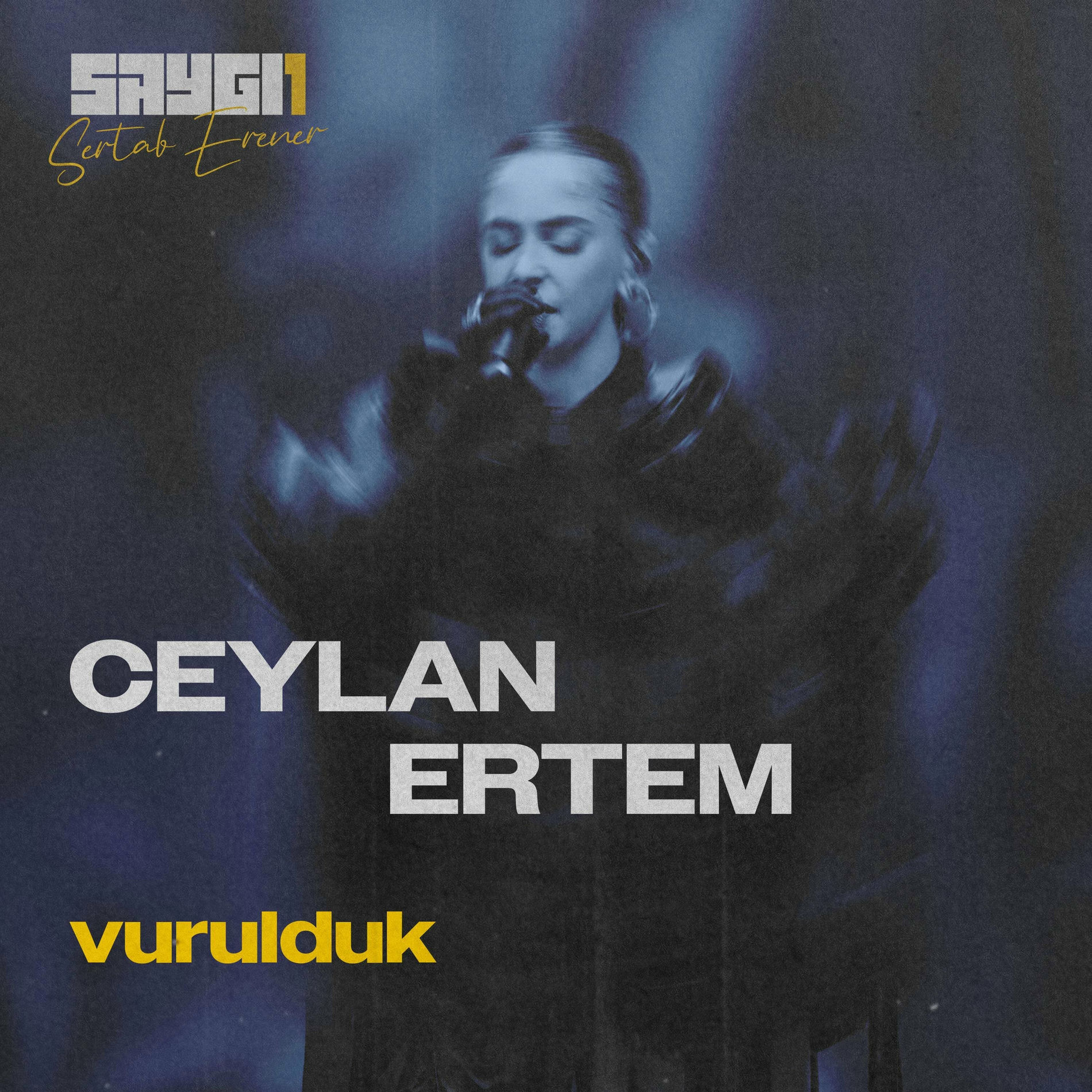 Album cover of Vurulduk