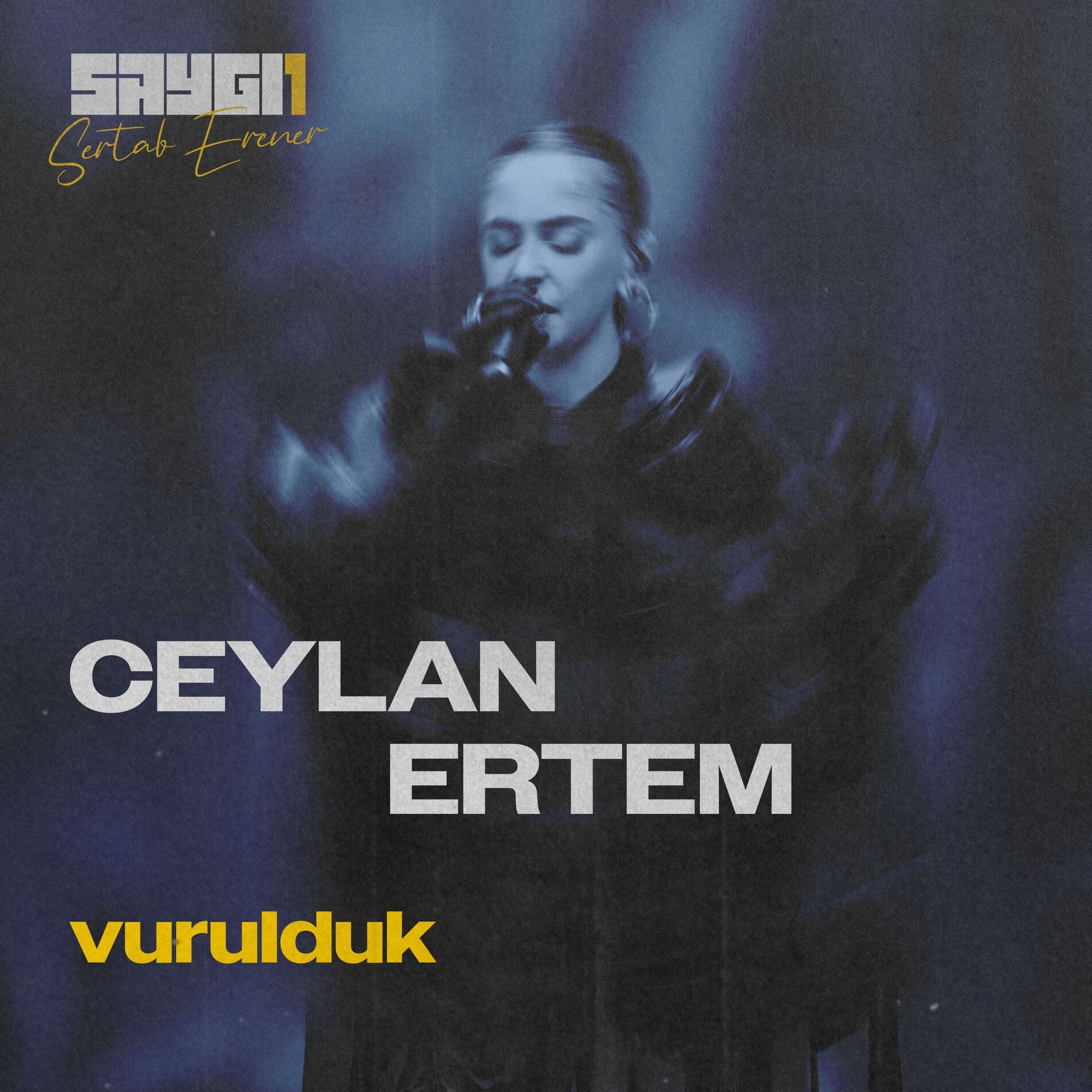 Album cover of Vurulduk (SAYGI1)