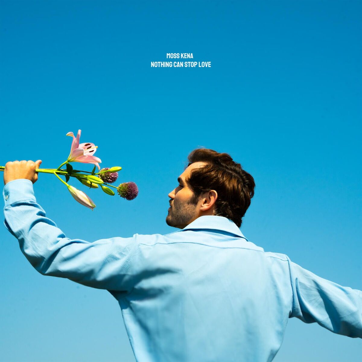 Album cover of Nothing Can Stop Love