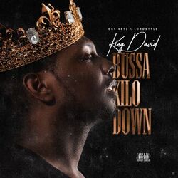 Cover of Bussa Kilo Down