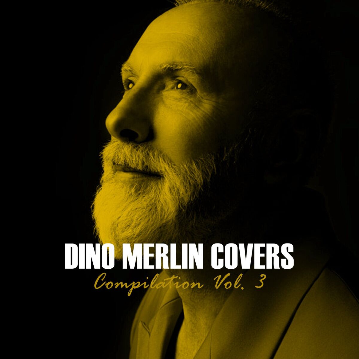 Album cover of Dino Merlin Covers Compilation Vol. 3