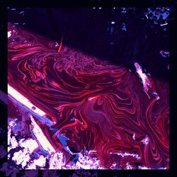 Cover of PINKY