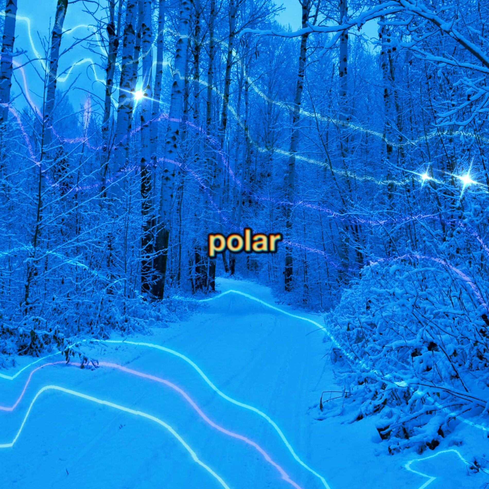 Album cover of POLAR