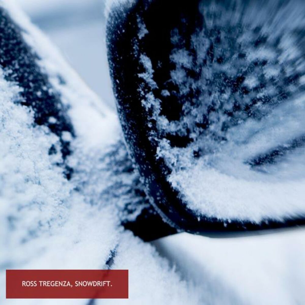 Picture of Snowdrift
