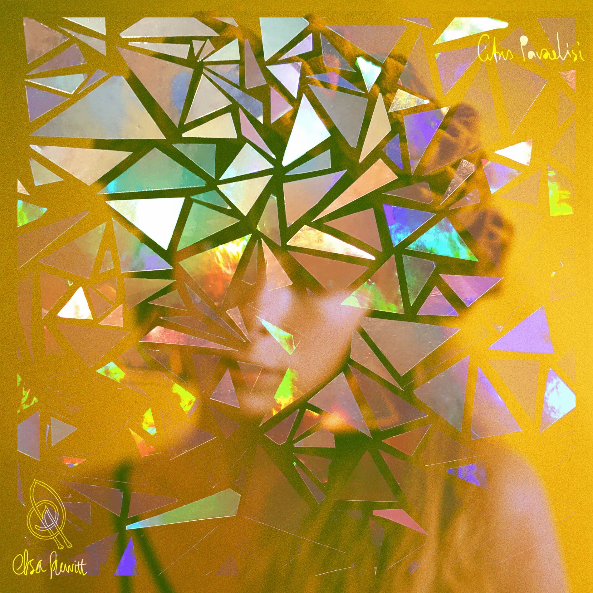 Album cover of Tiny Dancer