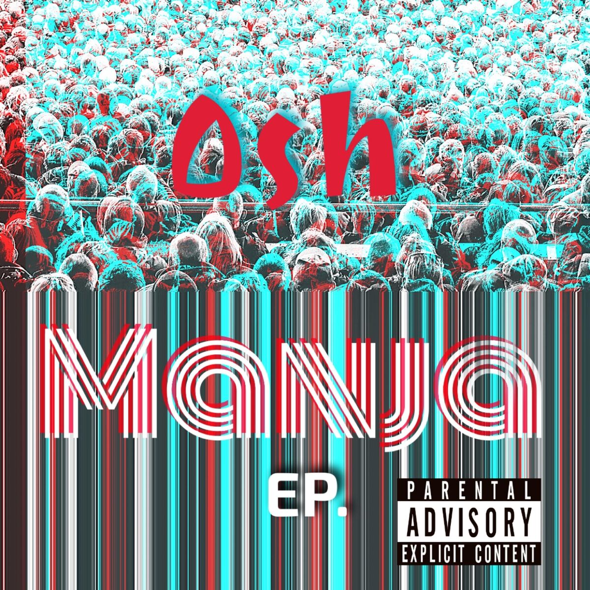 Album cover of Manja