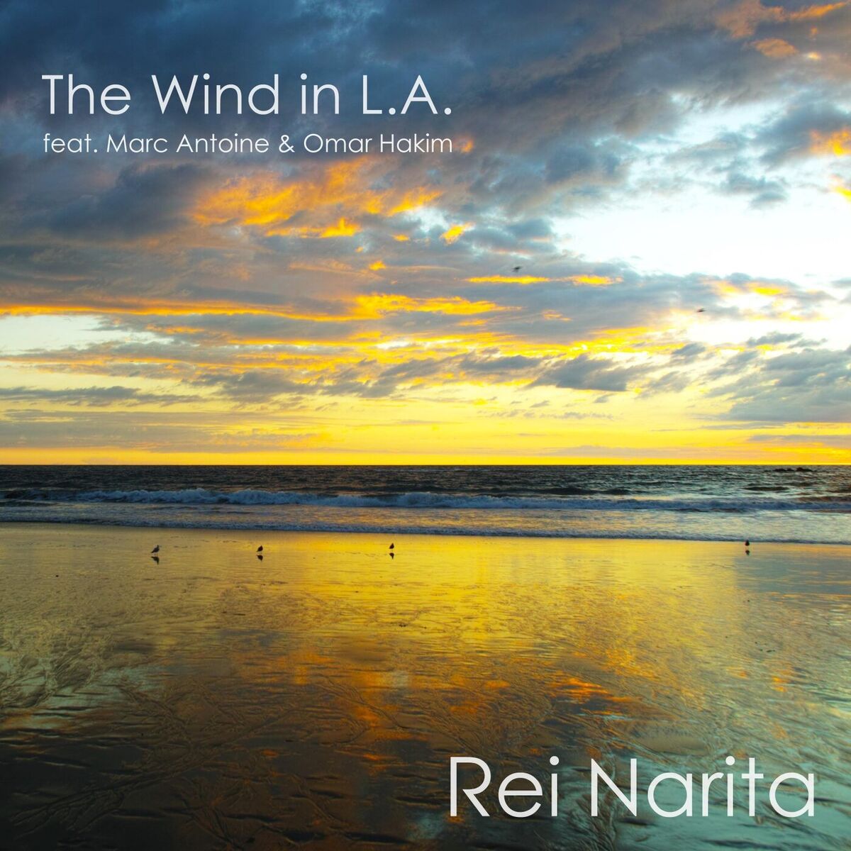 Album cover of The Wind in L.A.