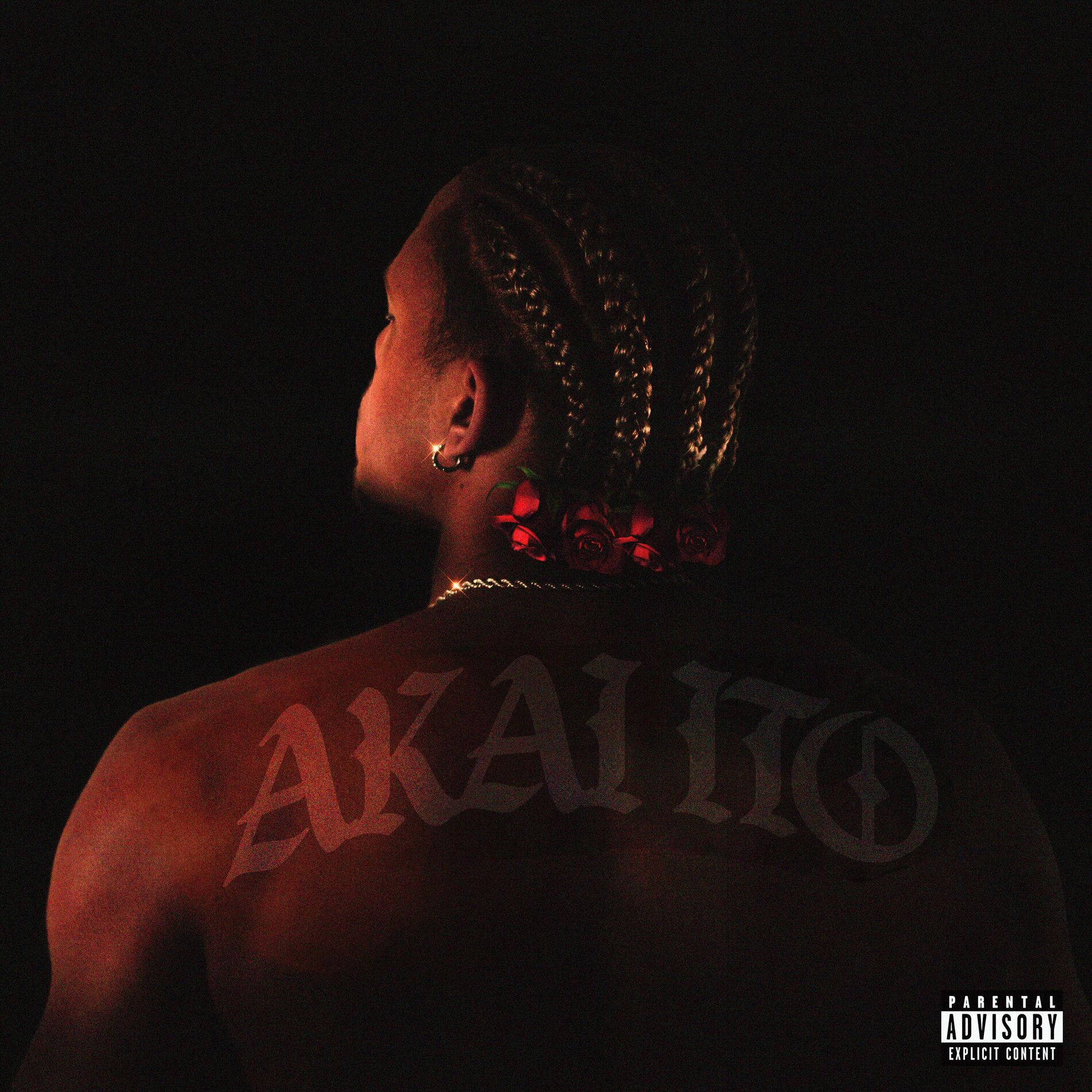 Album cover of Akai Ito