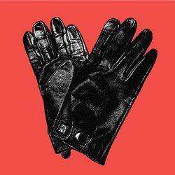 Cover of Shiny Black Leather