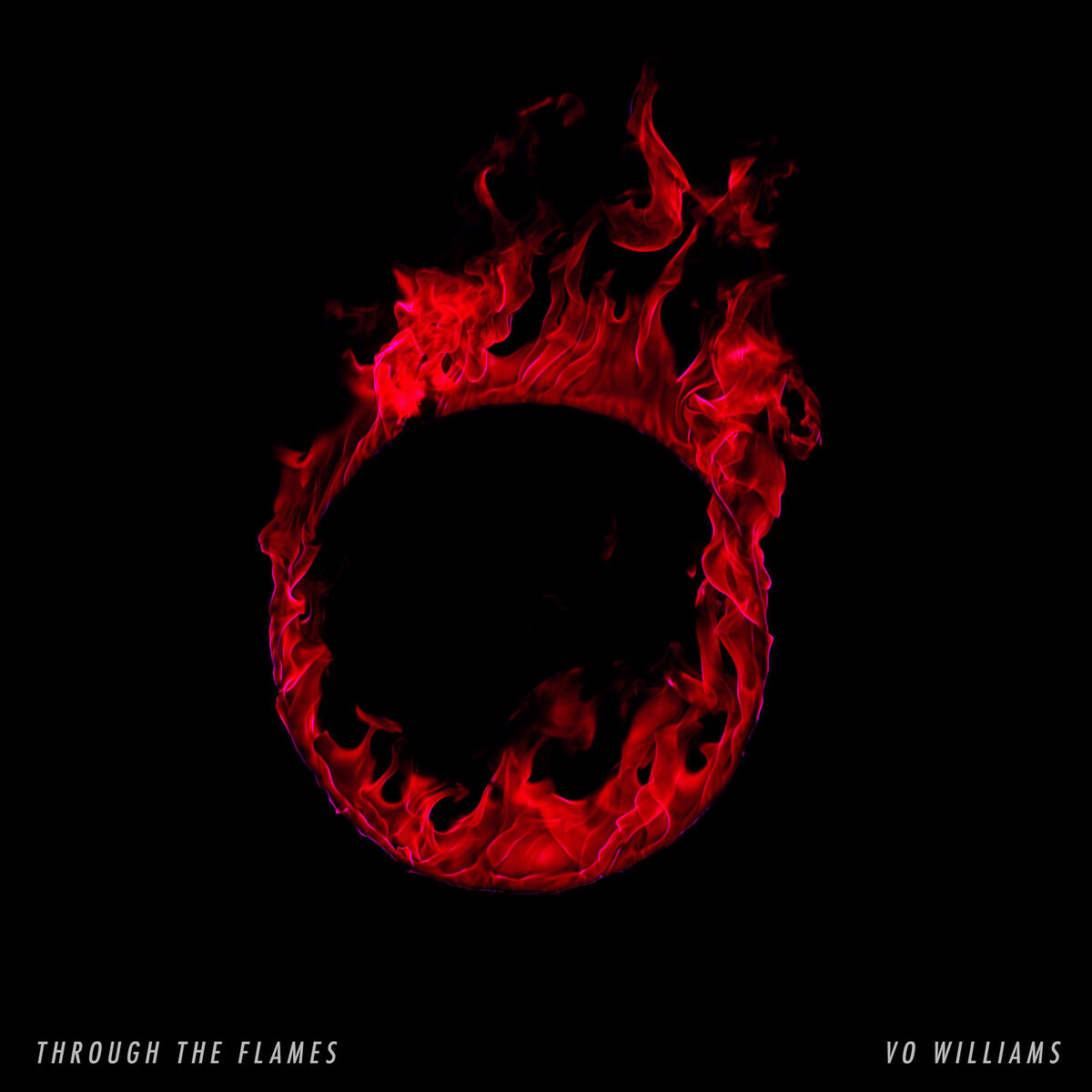 Album cover of Through the Flames